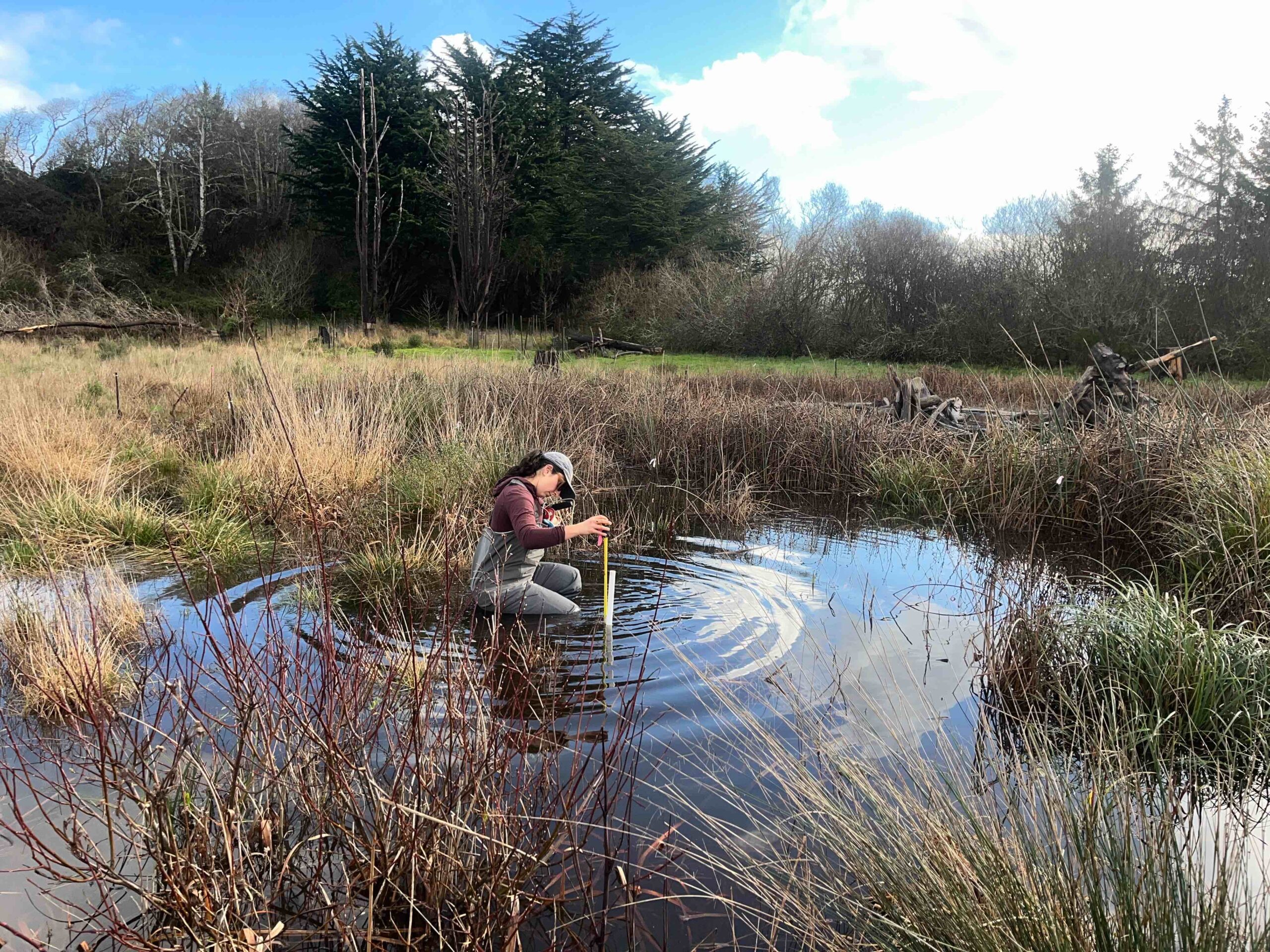 tilt_angle_deg=-8.7 / roll_angle_deg=-0.3